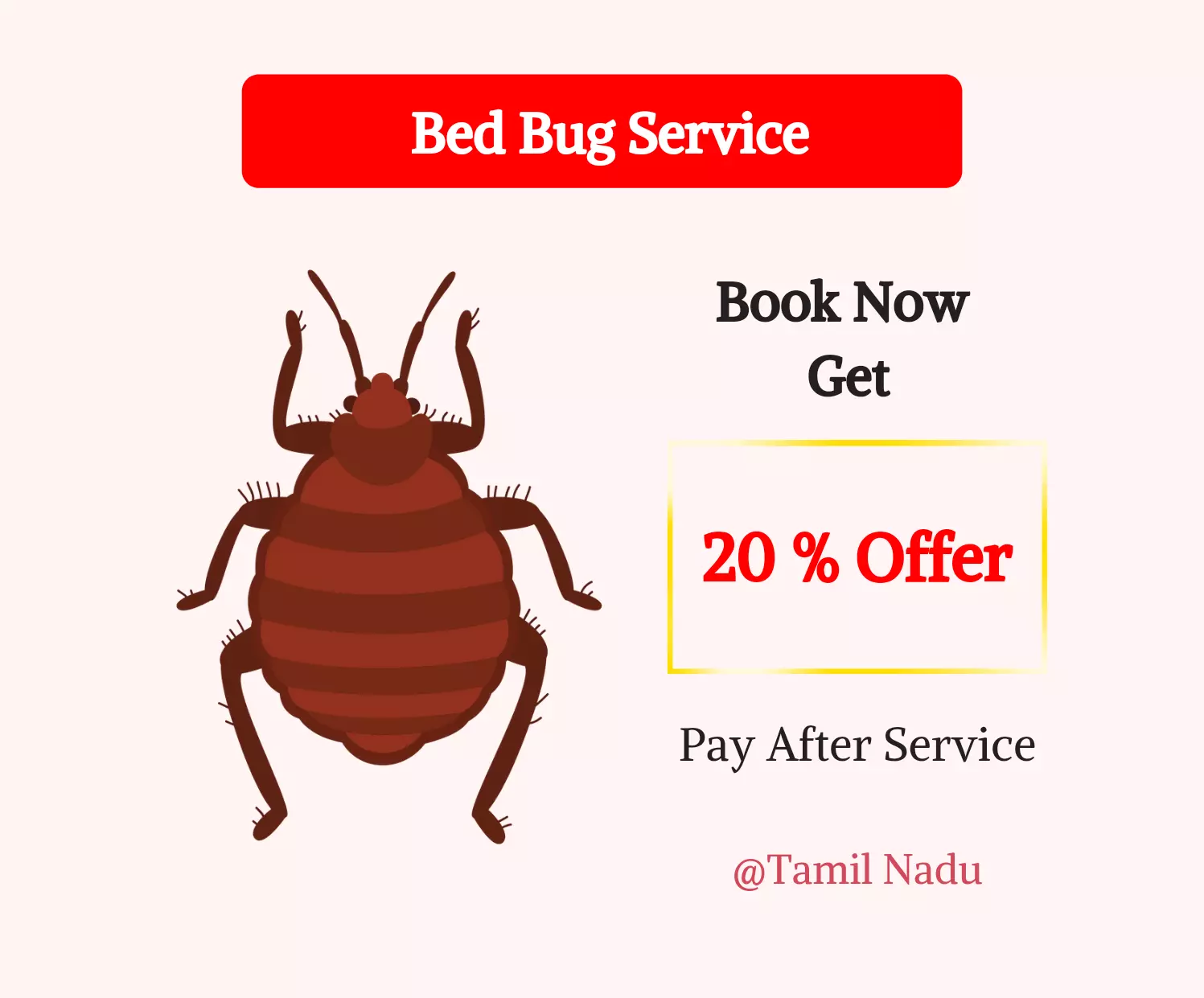 Bed Bug Control Season