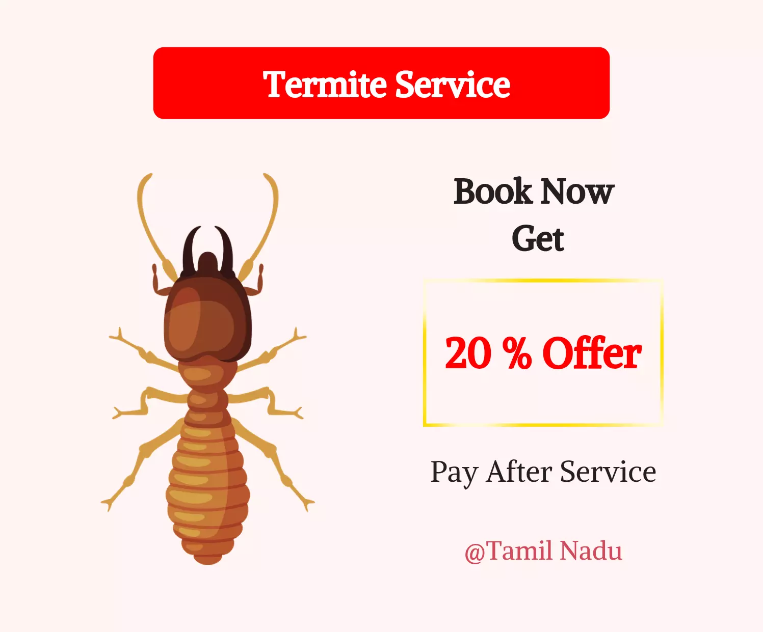 Termite Control Season